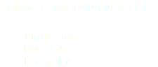 Catálogo Infraestructura Vial Viaductos Puentes Pasarelas